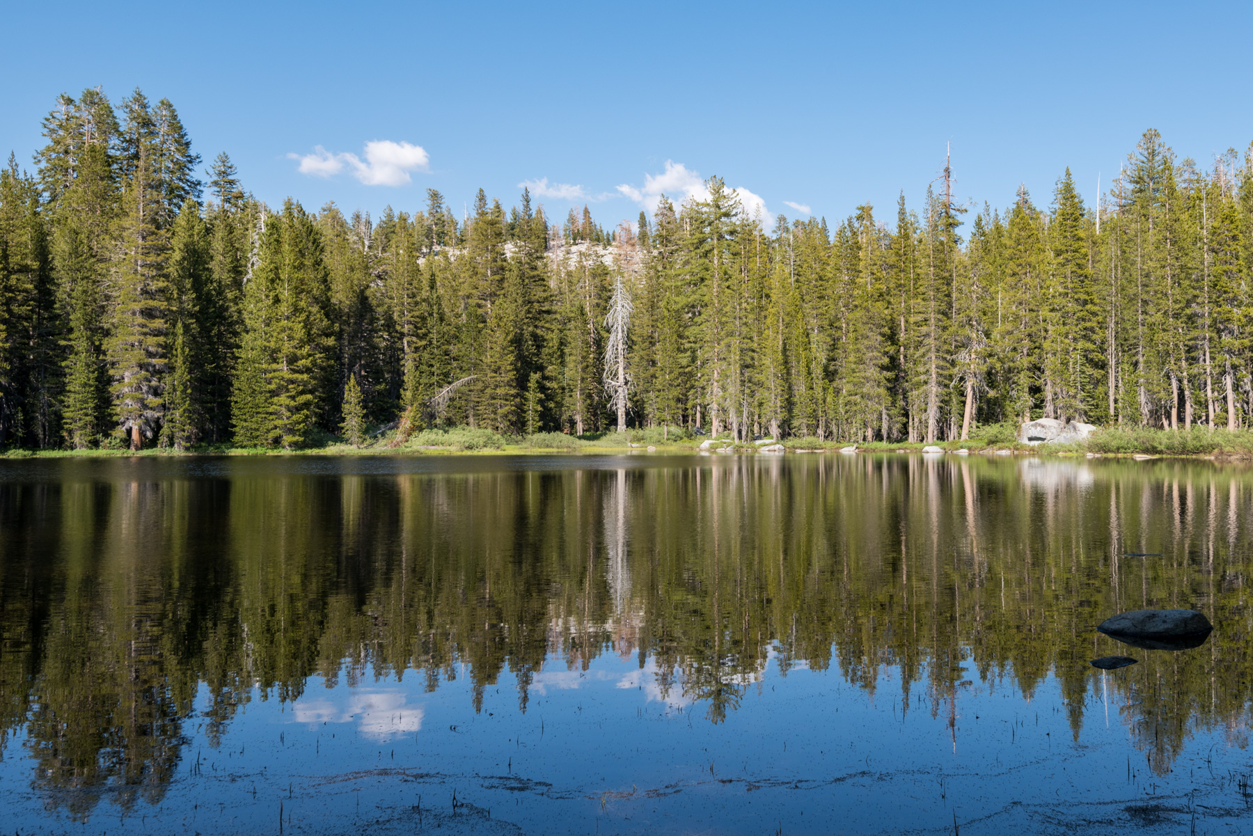 Grouse Lake